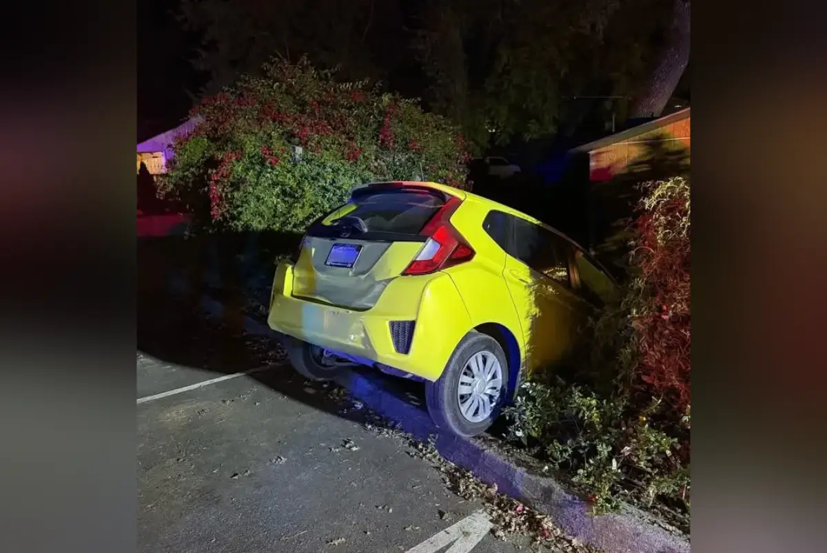 Mental Health Startup Founder Arrested In CA For “Wild Scene” – IndiaWest News