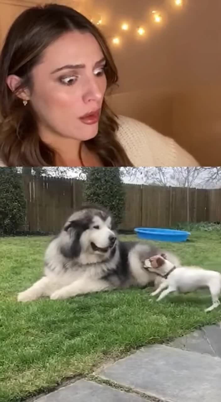 @friendly.spot.tt Watch AI create magic!  #AI #Technology #Innovation #Future #V…