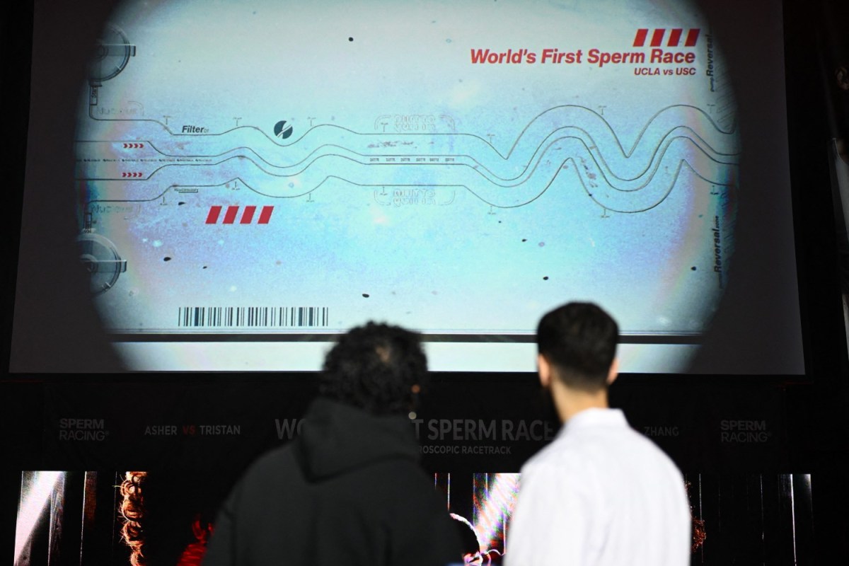 A Sperm Racing Startup Raised $10 Million This Year