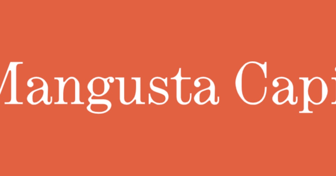 Mangusta VC enters Korea to scout AI startups and expand local operations