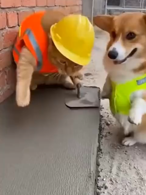 @longliveai AI has officially captured the most relatable teamwork disaster ever…