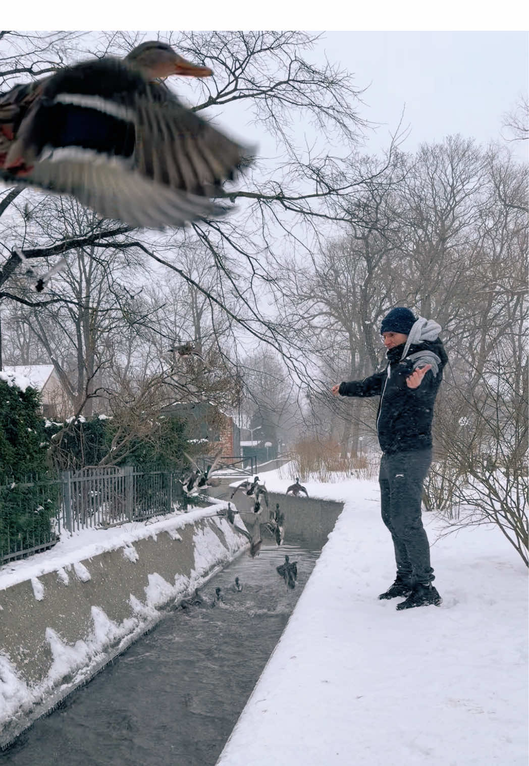 @bankir973  Заинтересованные «утки» внимательно наблюдают  Пока e-wallet’ы превр…