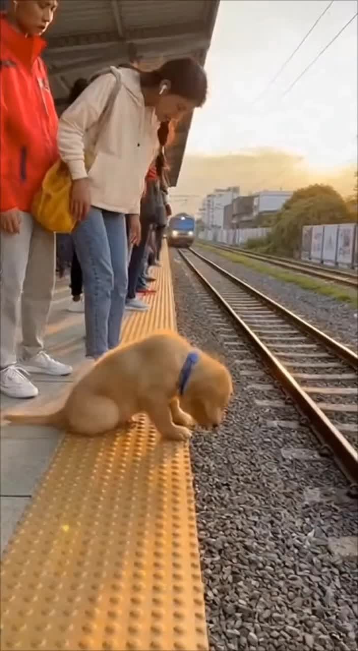 @aitrend.viral This looks real… but it’s not  AI videos are getting scary. Most …