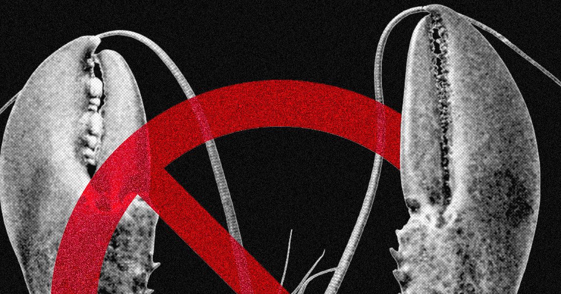 Meta and Other Tech Companies Ban OpenClaw Over Cybersecurity Concerns