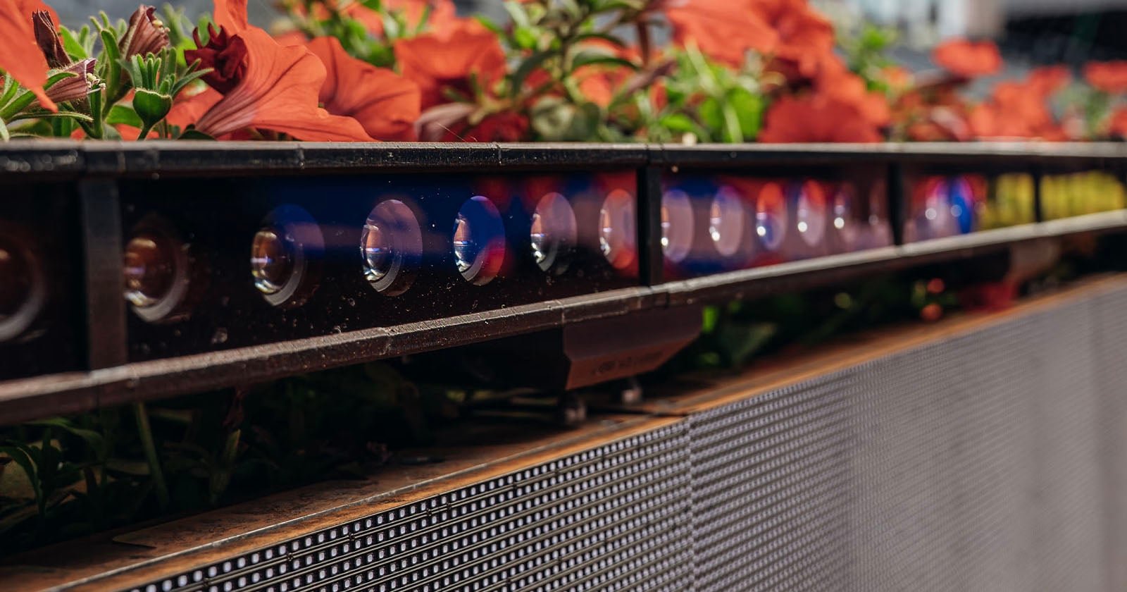 Close-up of a row of colorful LED lights beneath a planter filled with vibrant red flowers and green leaves. The image focuses on the lights and the base of the planter.