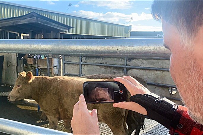 SunLive - How 3D imagery, AI technology weigh large animals