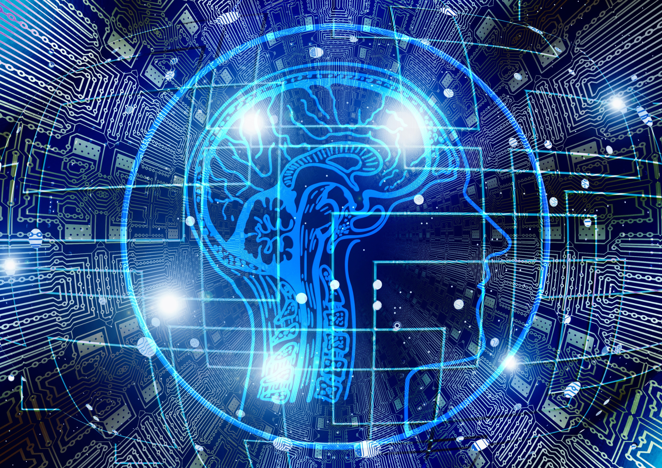 Rise Up CEO launches Forge AI platform amid learning shift | ETIH EdTech News — EdTech Innovation Hub