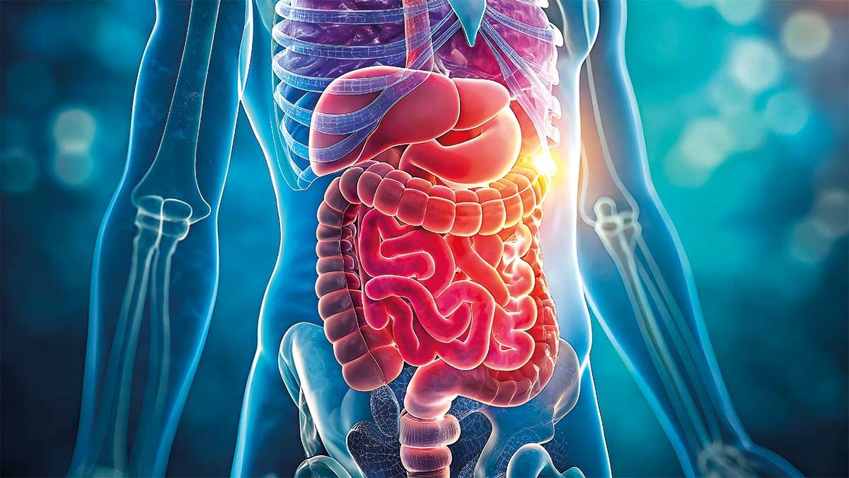 Trusted Source Badge