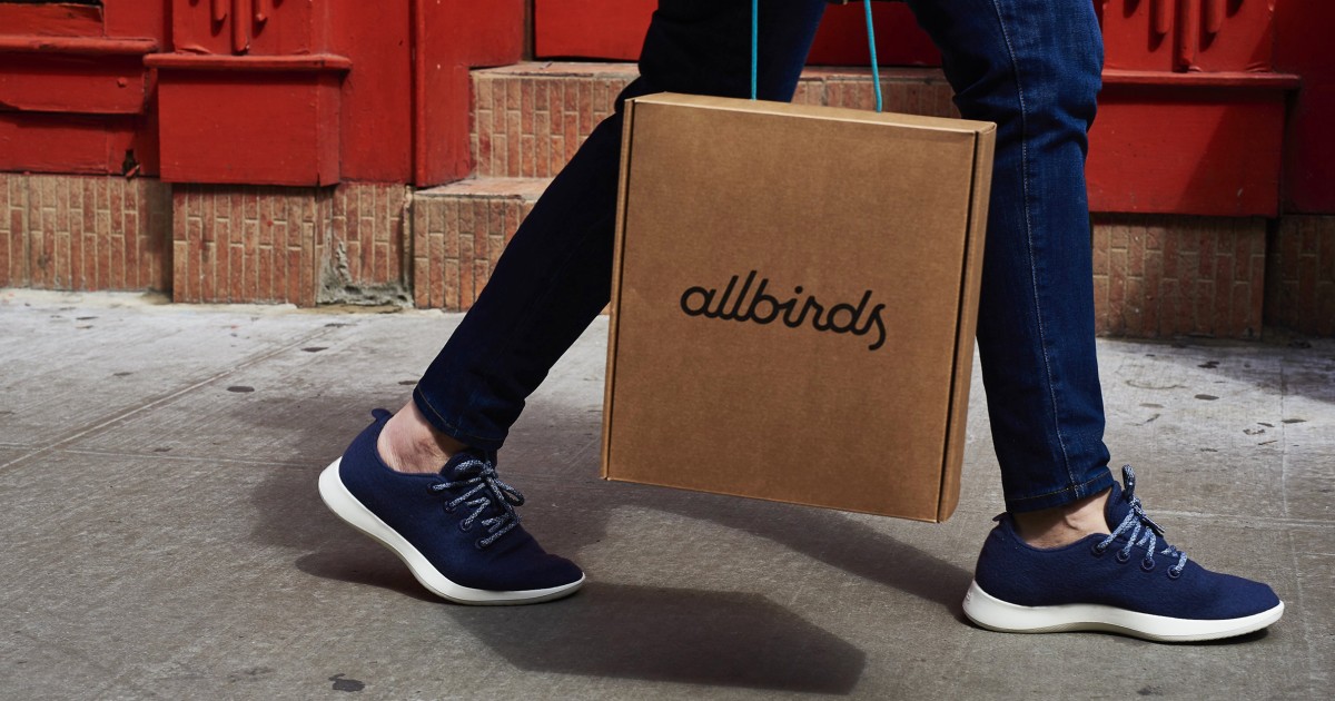 Allbirds, once a buzzy shoe startup, pivots to AI