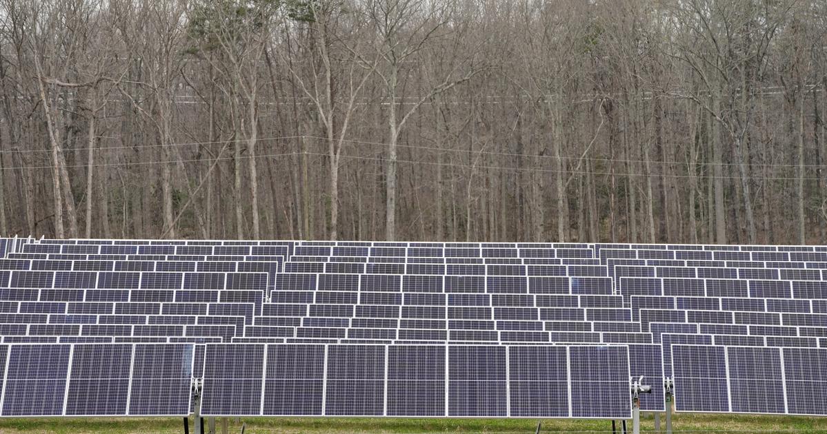 Exclusive: Climate tech startups turn to AI