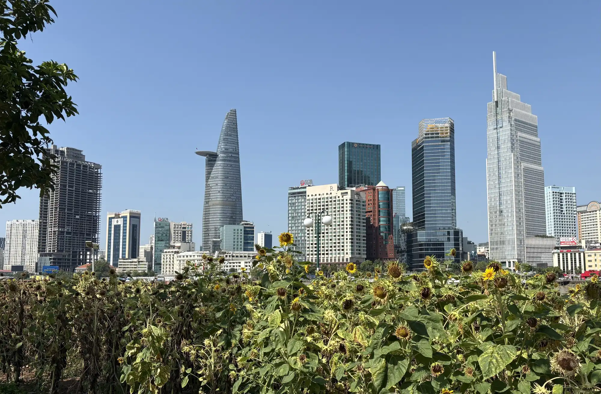 A view of Ho Chi Minh City’s financial center, where many foreign companies and startups have set up offices.