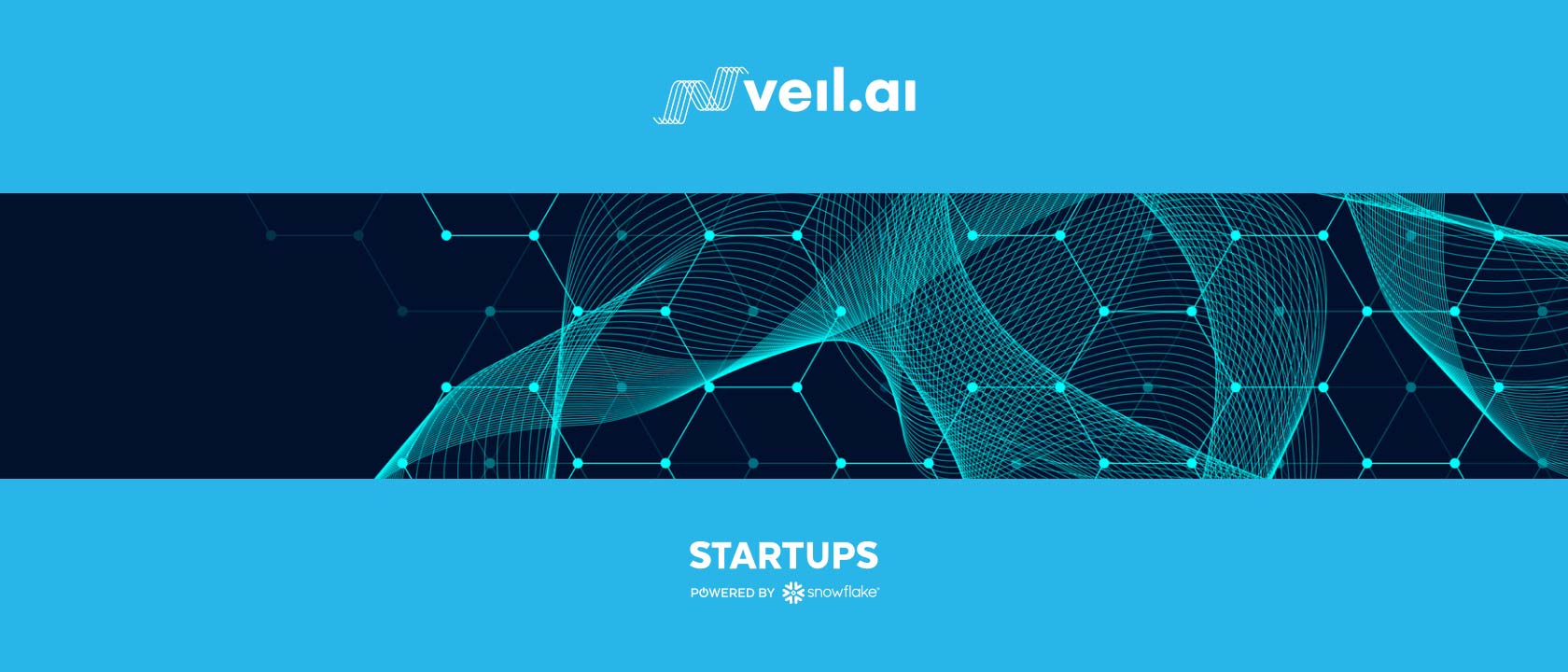Snowflake Startup Spotlight: VEIL.AI