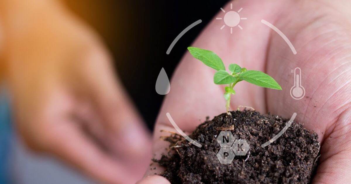 Soil health analytics start-up TerraBlaster closes oversubscribed $4m pre-seed round