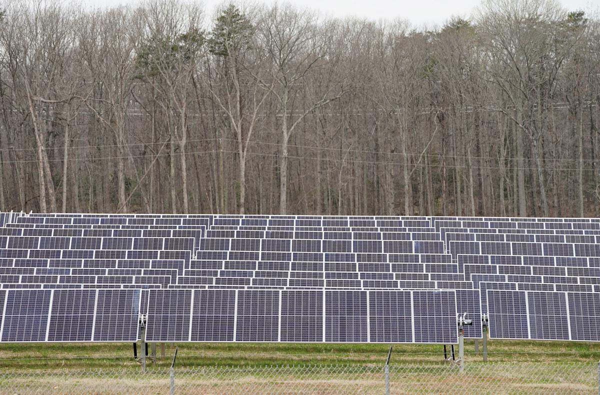 Climate tech startups turn to AI