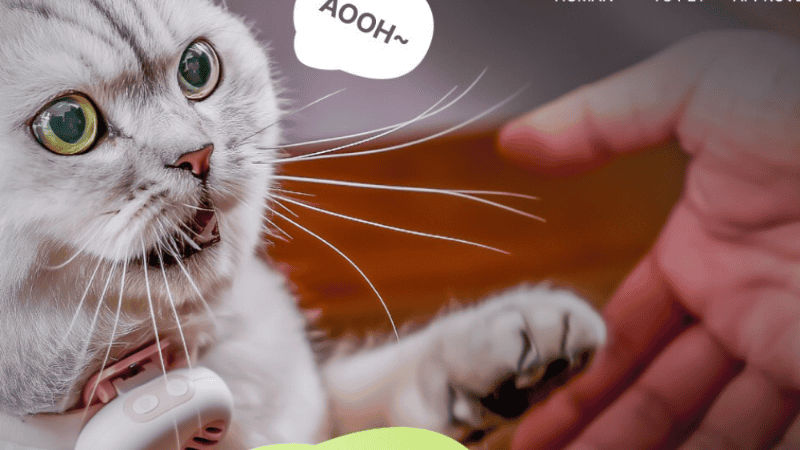 A Chinese startup claims its AI collar translates pet sounds into human language with 95% accuracy