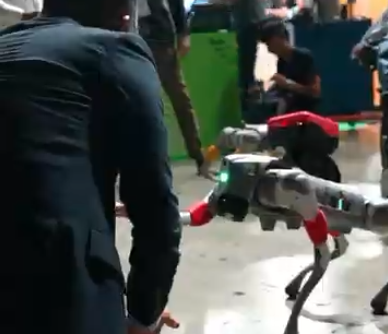 Could robots replace guide dogs? Israeli startup says they already can