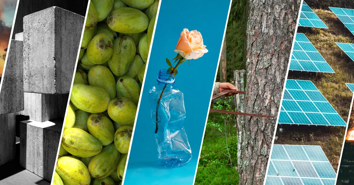 11 MIT climate tech startups to know | MIT Sloan