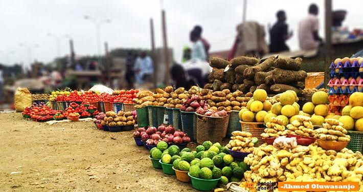 Agri-Food Startups Face Tougher Funding Climate as Investors Tighten - MSME