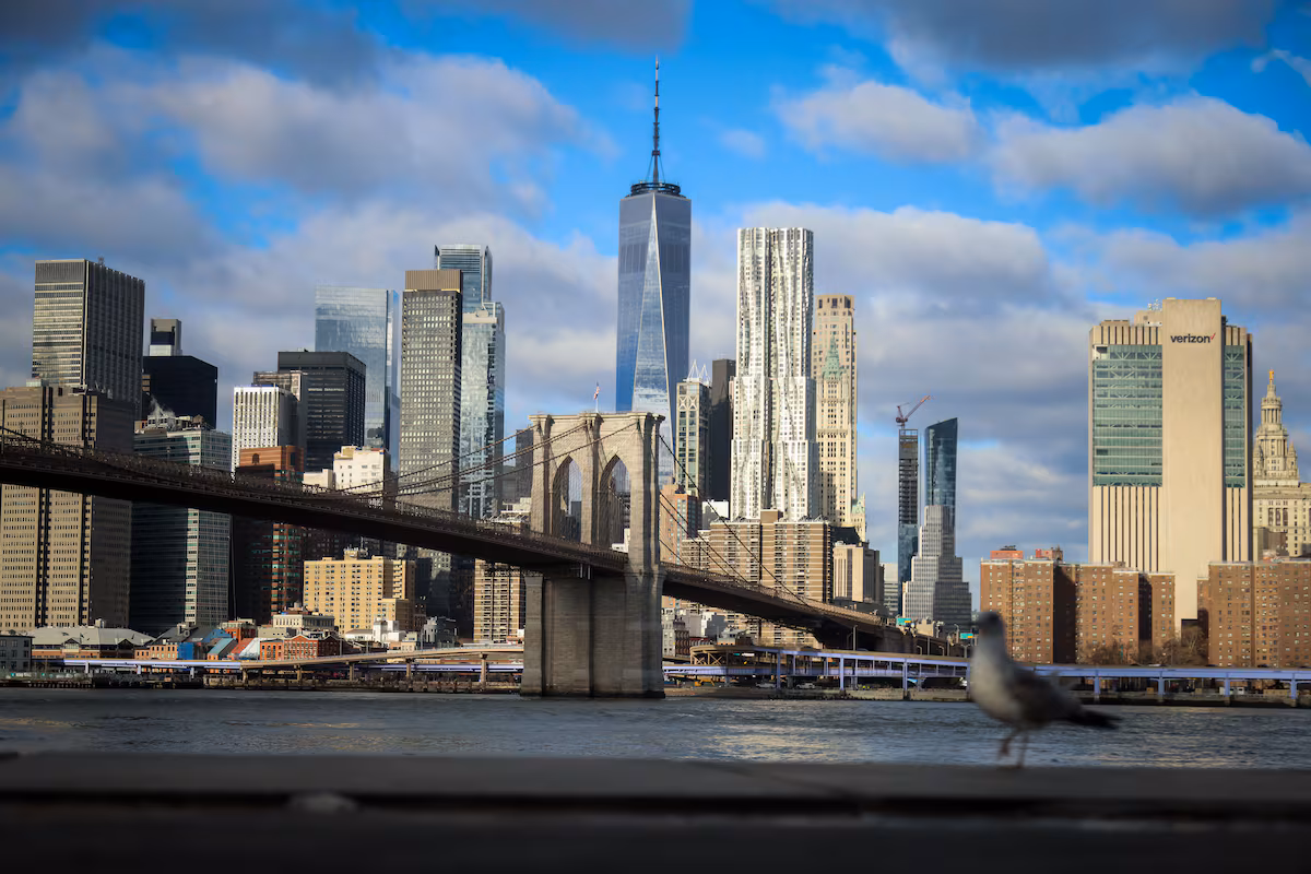 New York’s startup ecosystem ranks second globally amid AI boom, report shows