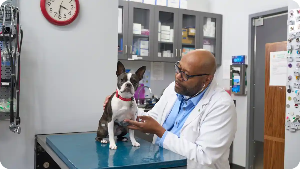 U.S. Bank launches new loan product for startup dental and veterinary practices