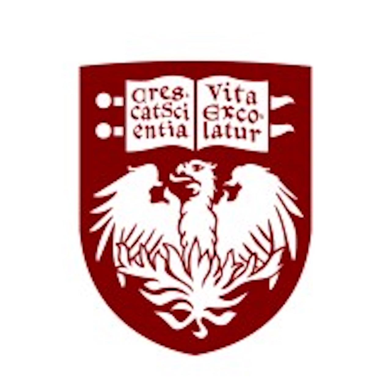 University Of Chicago And Station F Launch Summer Startup Internship Program In Paris
