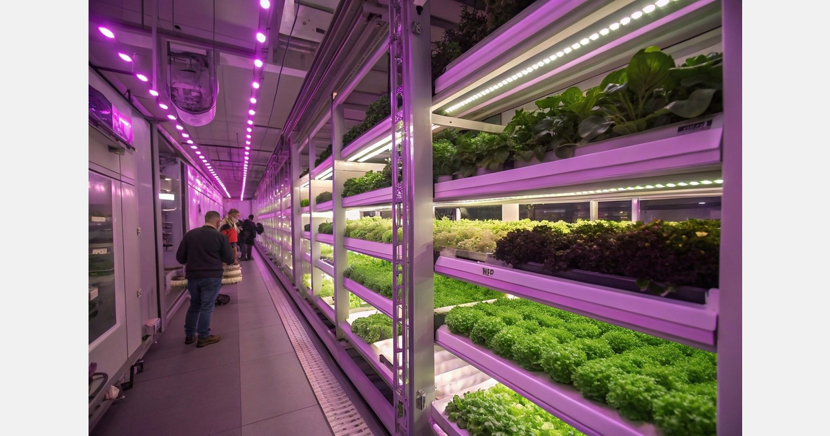 Using AI to improve crop condition in indoor growing