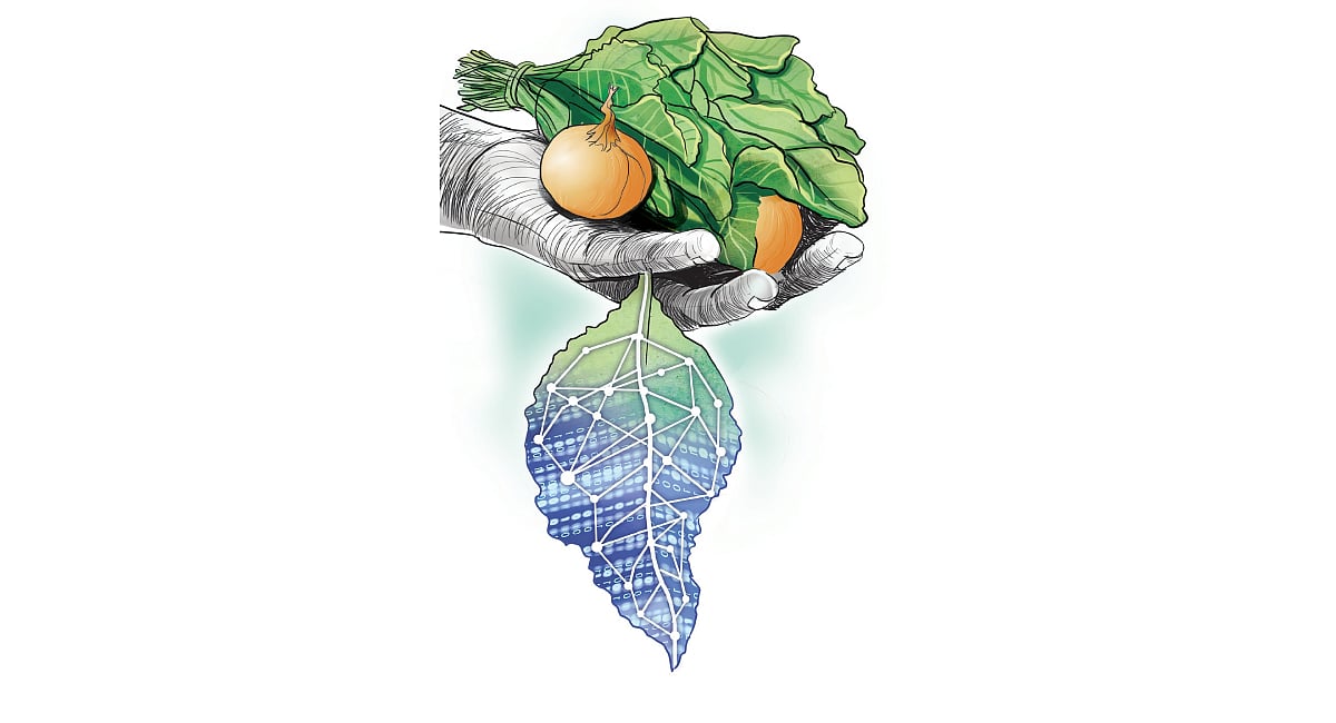 AI-led tech steps in to bring farms 
back to life in Kerala’s NRI hubs