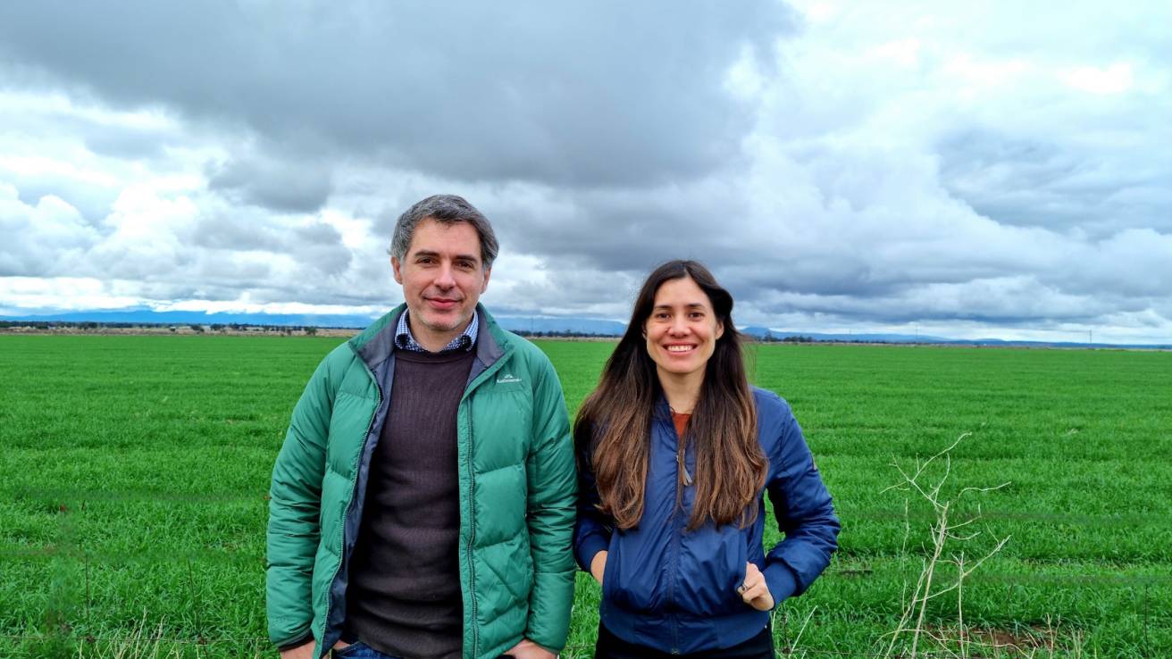 Agtech startup using AI to predict grain crops plants $1 million first raise