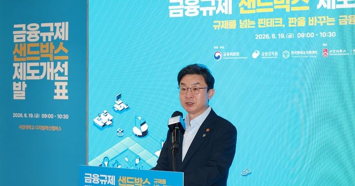 Mending Barn After Horse Bolts: Fintech Firms Criticize Financial Services Commission