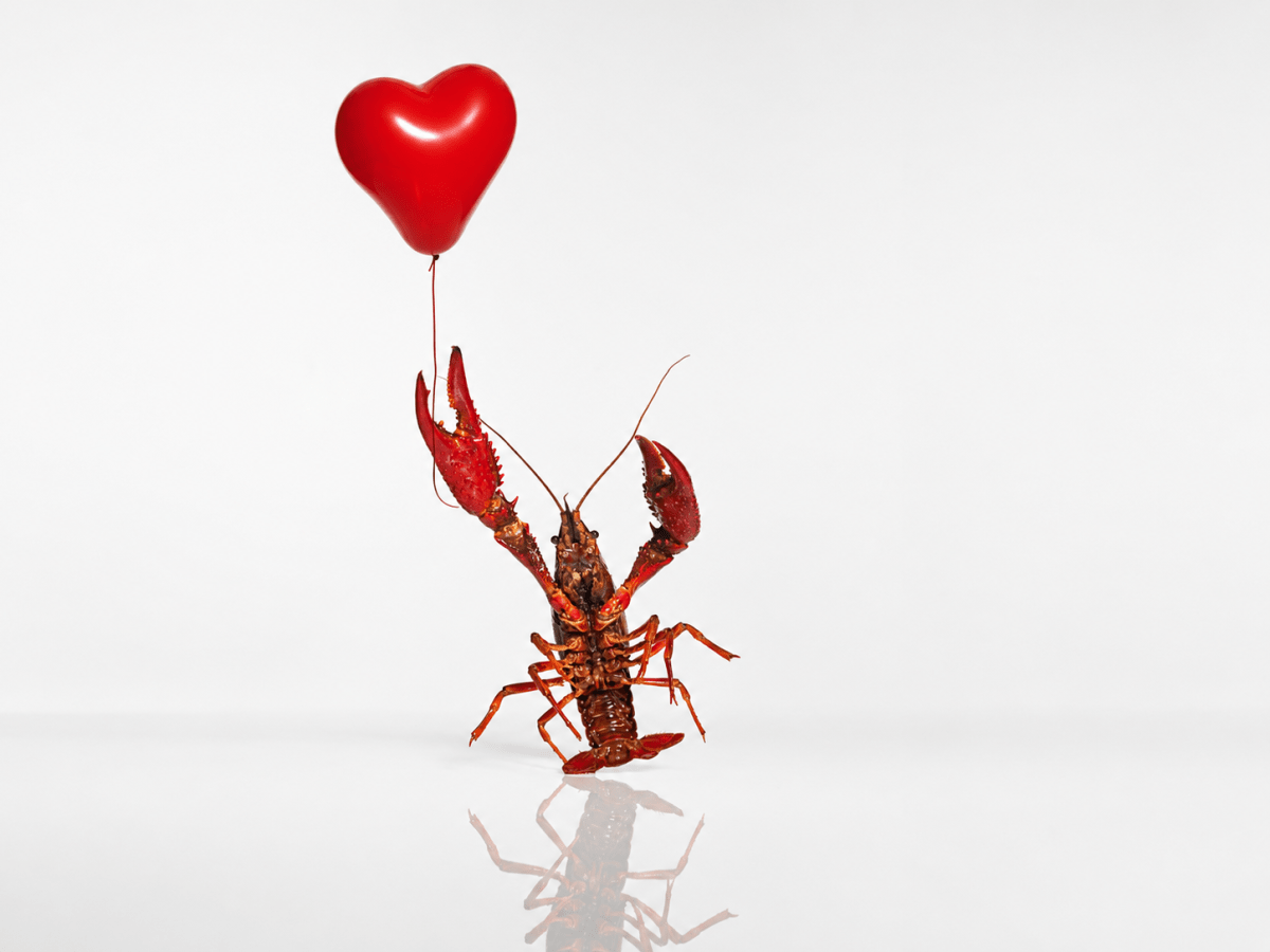 Yep, we’re using OpenClaw to date now | TechCrunch