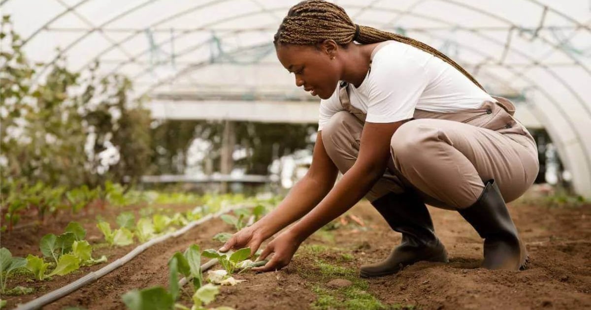 Four AI-powered agritech startups to watch