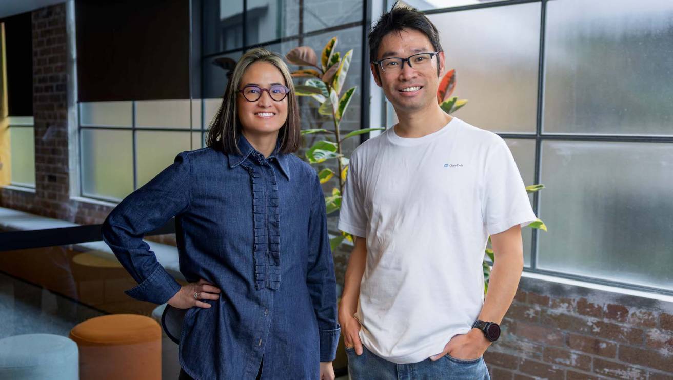 AI debt recovery fintech OpenDebt bags $2 million in pre-Seed