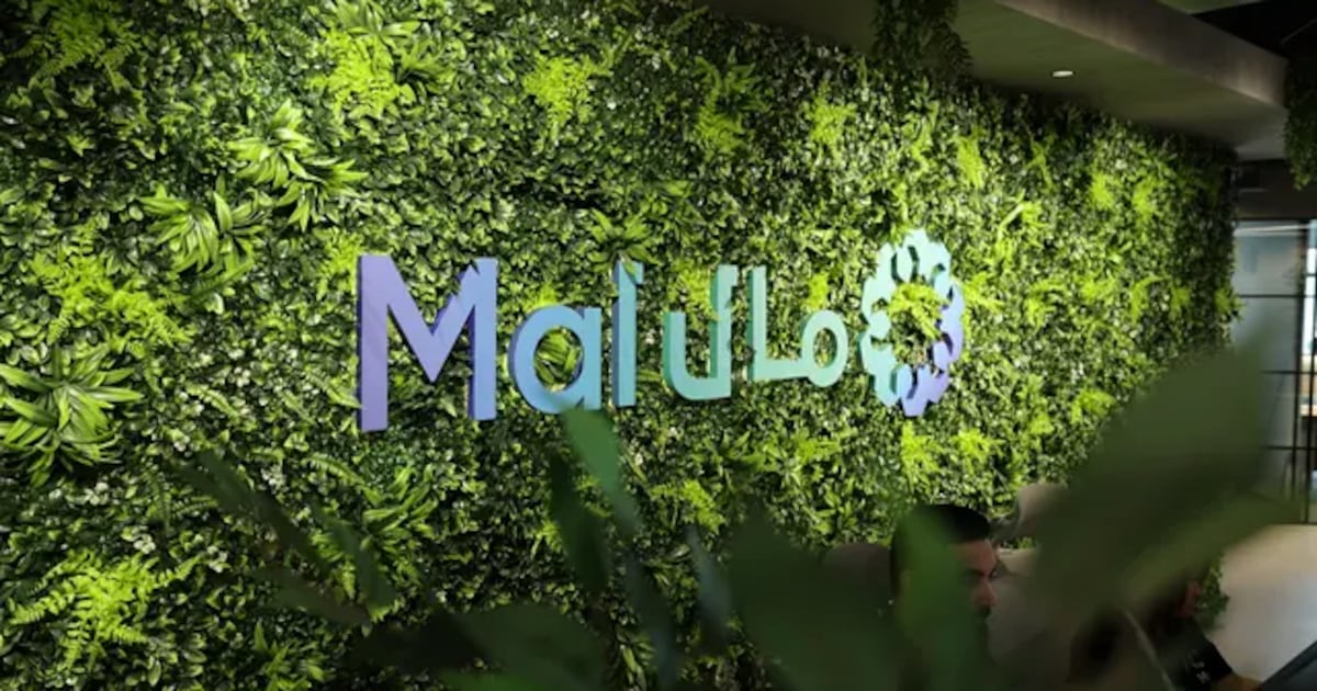 AI start-up Mal carries Middle East FinTech in H1 with mega-funding round | The National