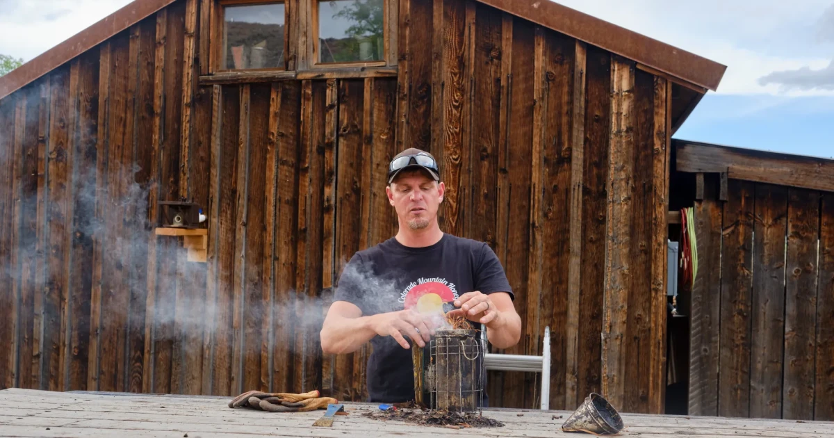 U.S. beekeepers grapple with delayed pay from AI hive company