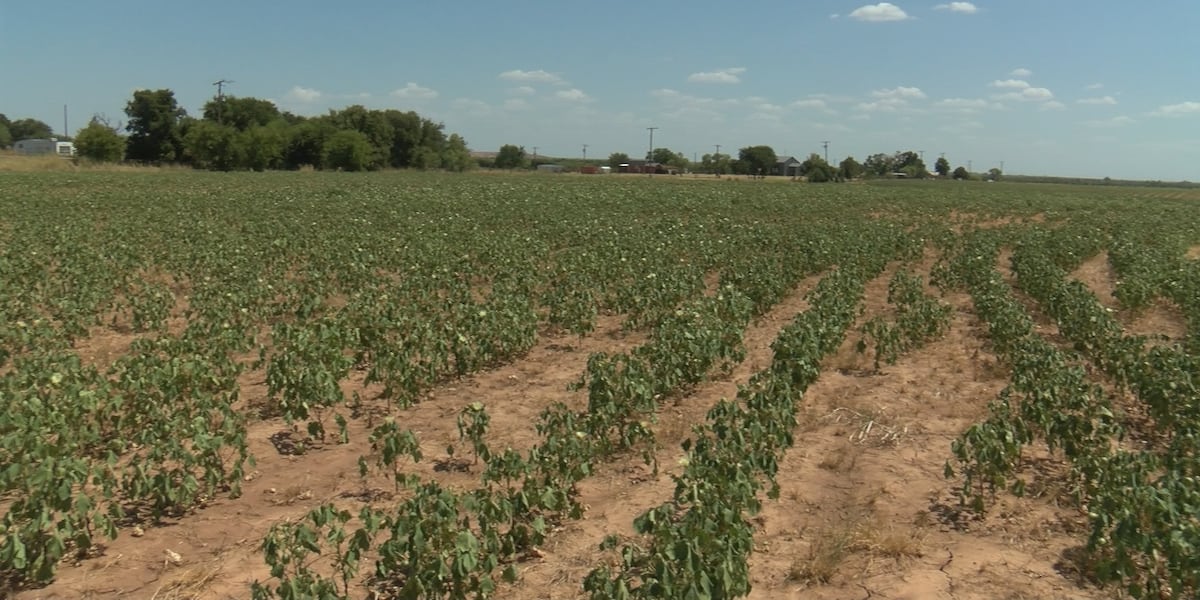 Vincennes Fintech Startup Fallow Ag Launches to Simplify Farm Reporting and Credit Access