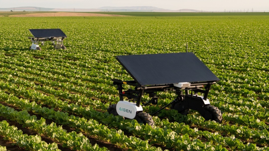 Data farmers: Ag-tech startup trains on AI-generated weeds