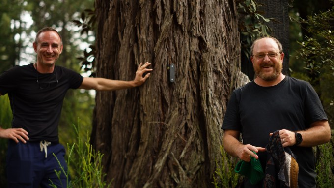Two men stand next to a large tree trunk with a sensor attached to it.
