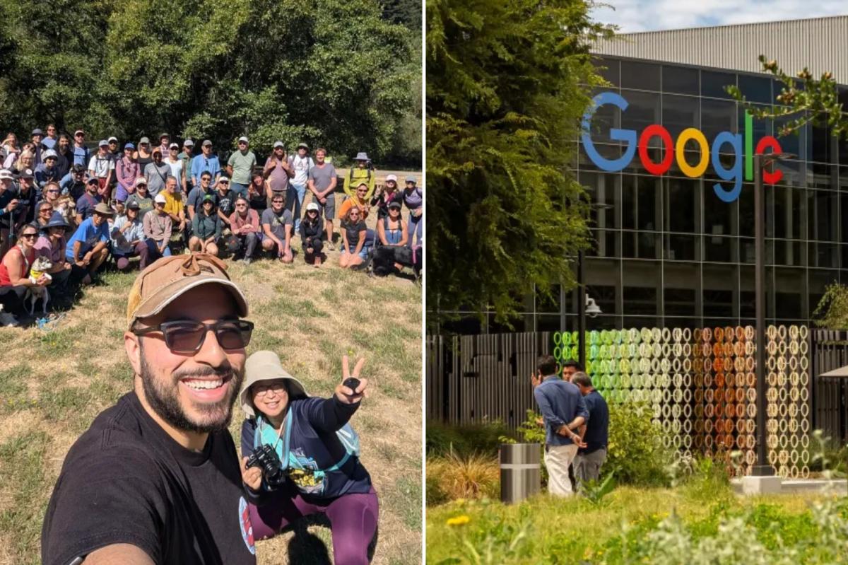 Not everyone is winning the AI goldrush — Silicon Valley techies have gone from $350K salaries to begging for jobs